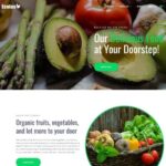 Ecolus – Organic Food Delivery ECommerce Modern WordPress Elementor Theme