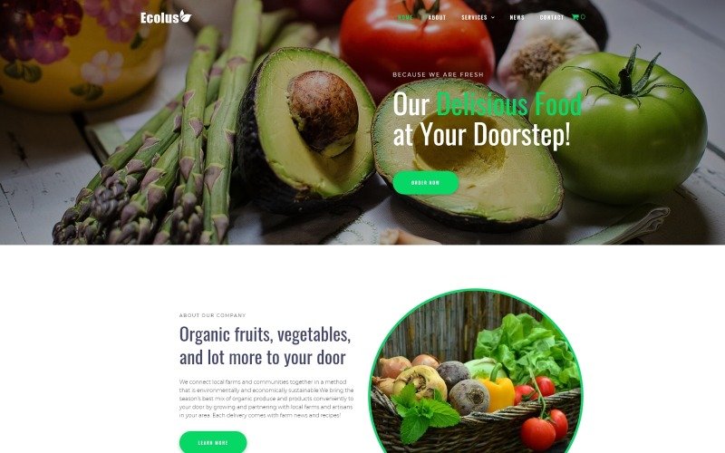 Ecolus – Organic Food Delivery ECommerce Modern WordPress Elementor Theme