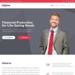 FinVisor Business Consultant WordPress Theme