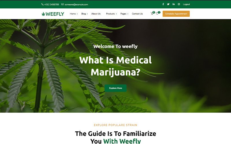 Weefly | Medical Cannabis & Marijuana WordPress Theme